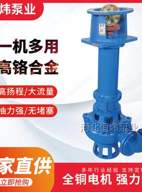 立式沙下渣浆泵YZ污泥泵泥浆泵吸泵池液塘清淤排污泵粪泵DWX抽抽