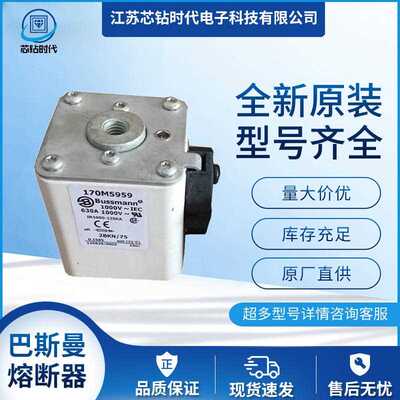 170M3960 170M3961 巴斯曼BUSSMANN熔断器保险丝
