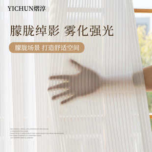 梦幻帘白纱窗纱透光不透人雪纺纱客厅阳台竖条纹窗帘百叶纱帘 新款