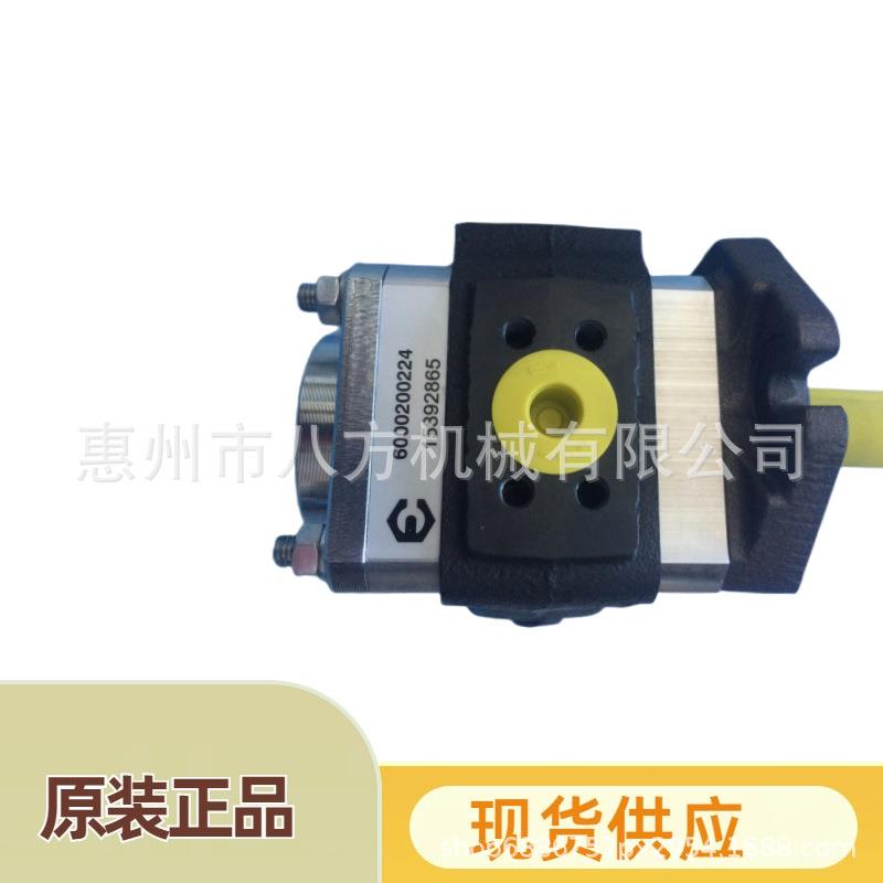 德国VOITH福伊特IPVP5-40 101 IPV5/IPVP5-32/40/50/64-101齿轮泵