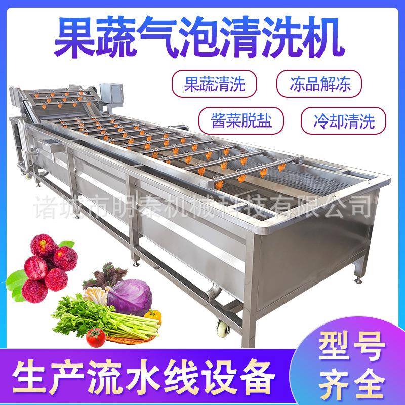 杨梅果蔬气泡清洗机韭菜藕片洗菜机酱菜脱盐机毛豆清洗风干线