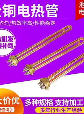 全铜烧水电热管加热棒DN50DN40水箱加热管3/9/12KW全铜加热管