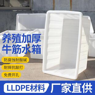加厚牛筋塑料水箱长方形塑料桶方水桶家用养鱼箱大桶龟水产养殖箱