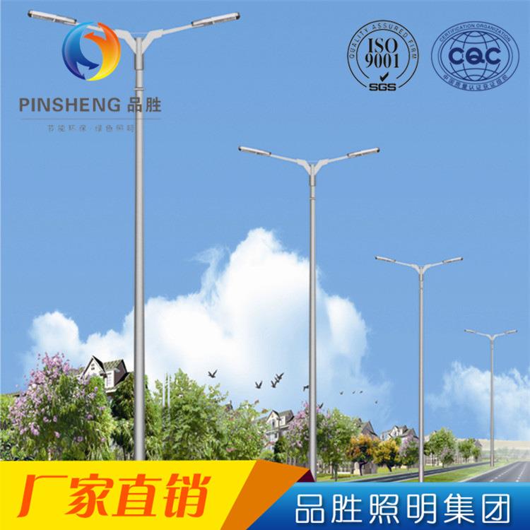 小区厂区公园广场双臂路灯 5米6米型材庭院灯景观灯户外路灯