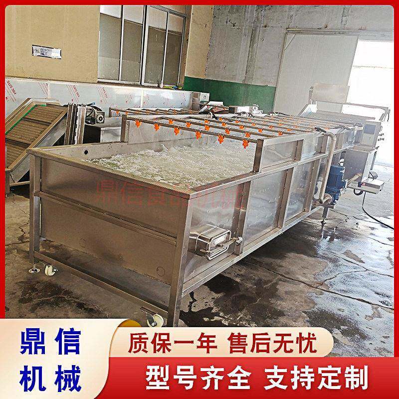 小型鲜姜去泥去皮机不锈钢全自动生姜清洗机果蔬超声波清洗机