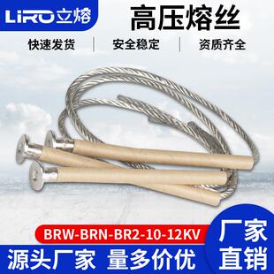 并联电容器熔丝BRW BRN BR2 20A25A30A40A50A保护熔断器 12KV