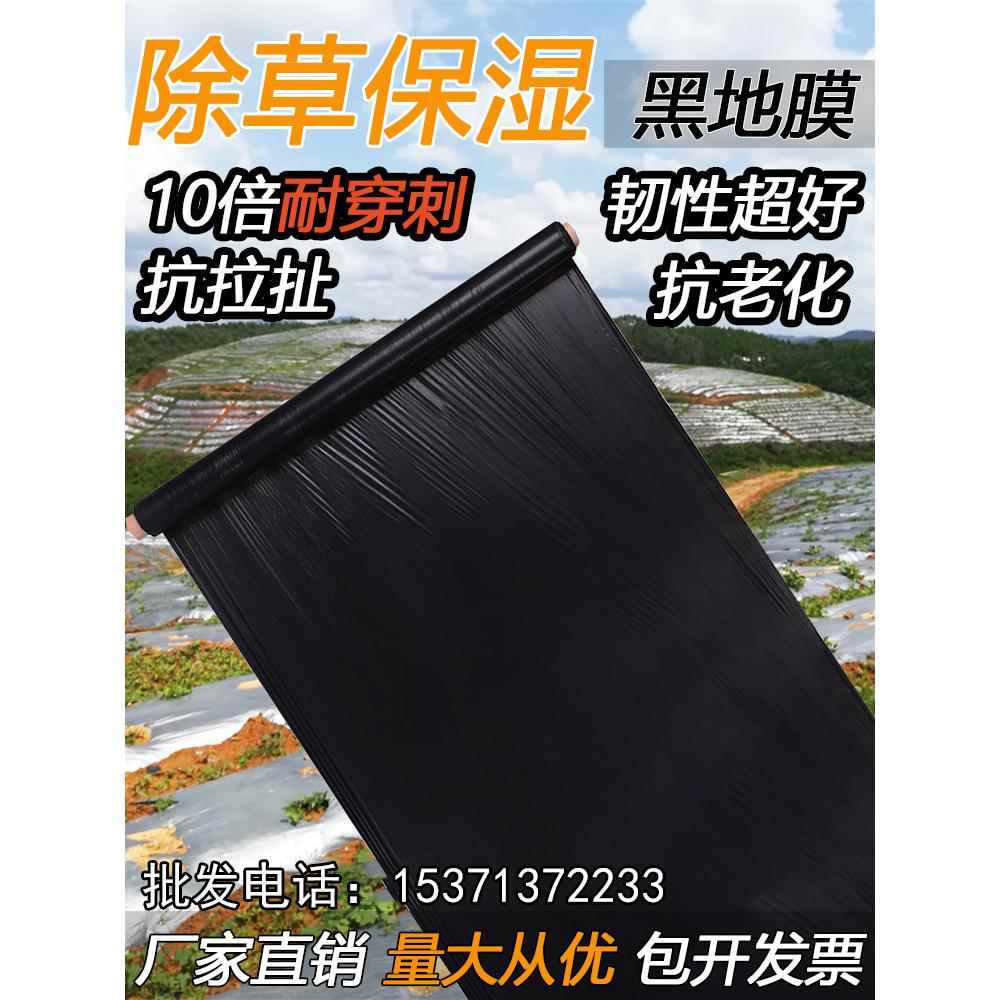 农用加厚抗老化黑色地膜塑料薄膜除草盖草保温保湿防草大棚种植地