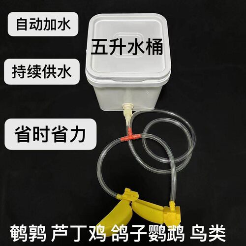 芦丁鸡鹦鹉八哥玉鸟鹌鹑喂水笼挂自动饮水器水箱钻孔笼养殖鸡鸭鸽