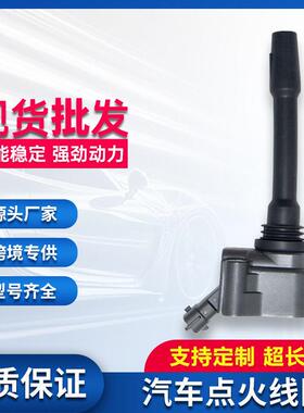 汽车点火线圈3603040C45L 3603040C13L适用红旗HS5-2.0T CA4GC20