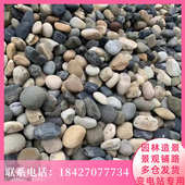 福建河卵石变电站用鹅卵石石子鹅卵石滤料河滩石园林绿化用河卵石