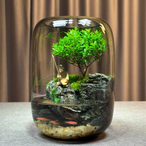 年年有鱼苔藓观赏微景观客厅养鱼办公桌面生态缸摆件纯手工成品