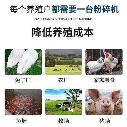 全自动自吸式无尘玉米粉碎机小型家用两相三相五谷杂粮玉米打粒