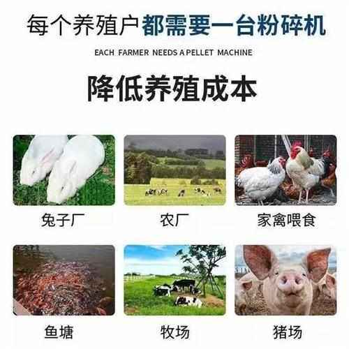 全自动自吸式无尘玉米粉碎机小型家用两相三相五谷杂粮玉米打粒机