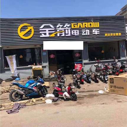 金箭电动车锐克唯美耀世小格野维密小佳俊27管前减震器避震器原装