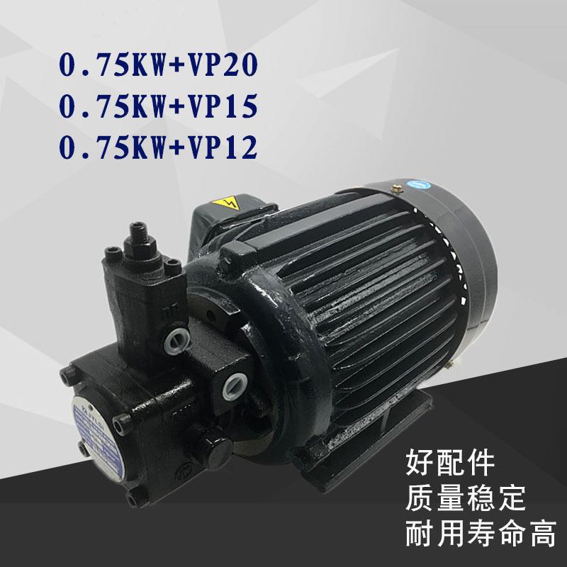 液压油泵电机组合0.75KW 1.5KW 2.2KW 3.75KW 5.5KW配泵VP20 VP30图片
