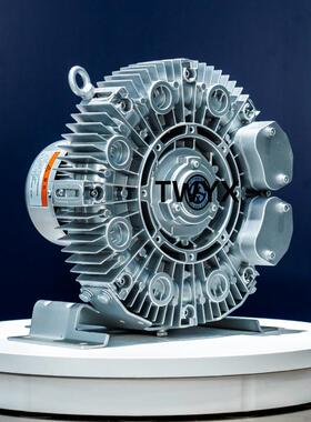 RB-21DH-1真空漩涡式鼓风机 气环式高压风机 0.55KW吸附高压气泵