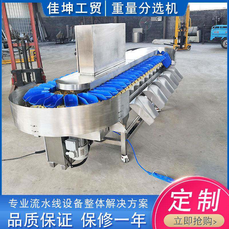 广东牡蛎分拣机 鲍鱼重量分级机 鱿鱼重量分选机 佳坤厂家供应