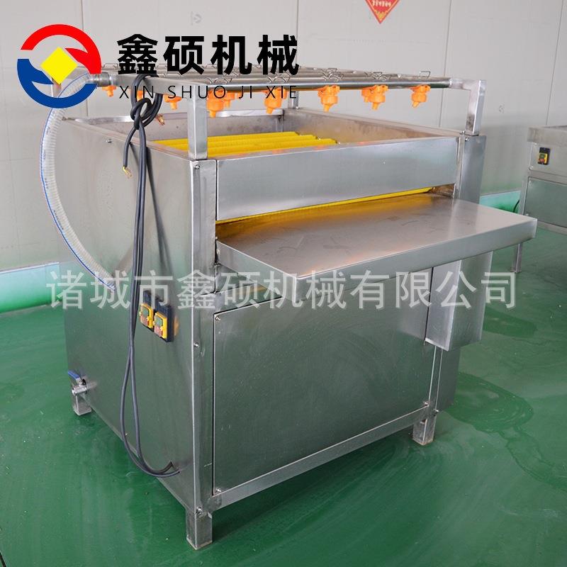 荷叶清洗机芭蕉叶毛辊洗叶机粽子叶双面毛刷清洗设备粽叶清洗机