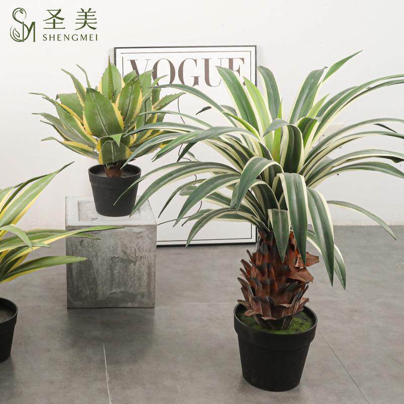 盆仿真大龙树舌兰白边金边剑麻剑兰树假客厅装饰丝SM兰树型植物景