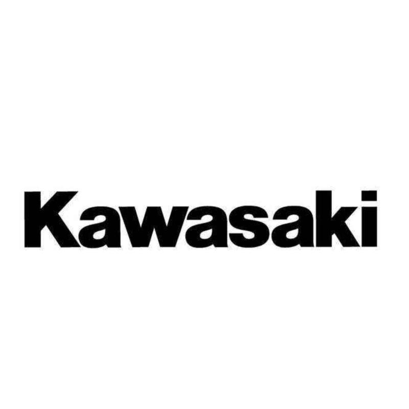 R2AA06020FCP3G Kawasaki川崎机器人伺服电机