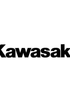 R2AA13120LCP2E Kawasaki川崎机器人伺服电机