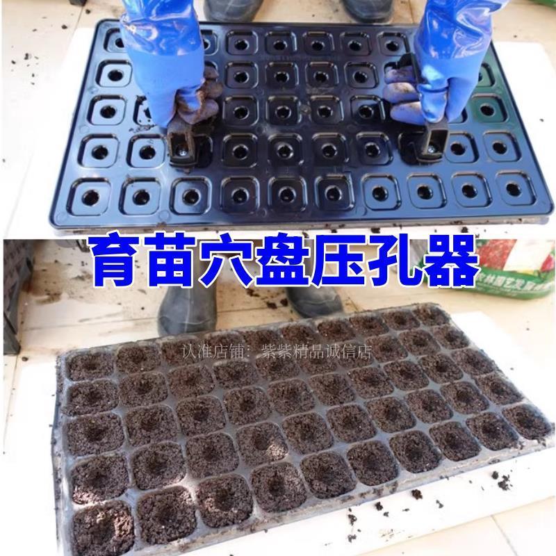 穴盘压孔器育苗穴盘压窝器育苗营养盘专用穴盘打孔器压孔播种工具图片