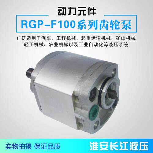 RGP-F100系列齿轮泵液压齿轮油泵现货供应RGP系列齿轮泵长江液压
