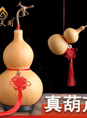 风水天然葫芦挂件大号龙头摆件开口家镇宅招文玩把件化解真葫芦