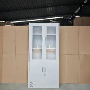 钢制金属拆装办公室财务资料档案凭证柜收纳大器文件柜外贸跨境款