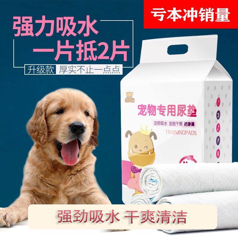 狗狗定点上厕所尿垫加厚除臭吸水一次性隔宠物鹦鹉动物引导兔子诱