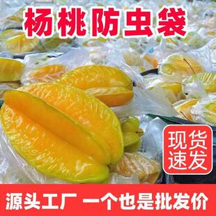 杨桃袋大号防虫保护套袋防虫袋水果保护透明袋促生长农用薄膜套袋