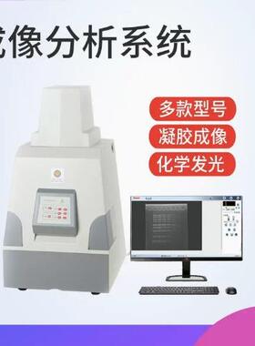 上海天能1600/2500凝胶图像分析4600全自动化学发光图像分析系统