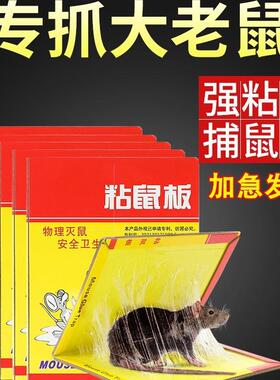 超强力粘鼠板捉粘大老鼠贴沾胶家用室内扑抓逮老鼠粘灭鼠捕鼠神器