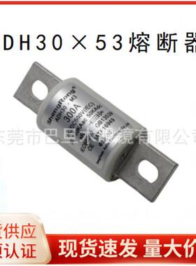 ADH30×53 新能源汽车熔断器玻纤管大体积高压熔断器125V-1000V