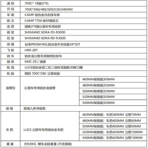 Camp坎普 RADON 圈刹 综合爬坡架铝合金公路车