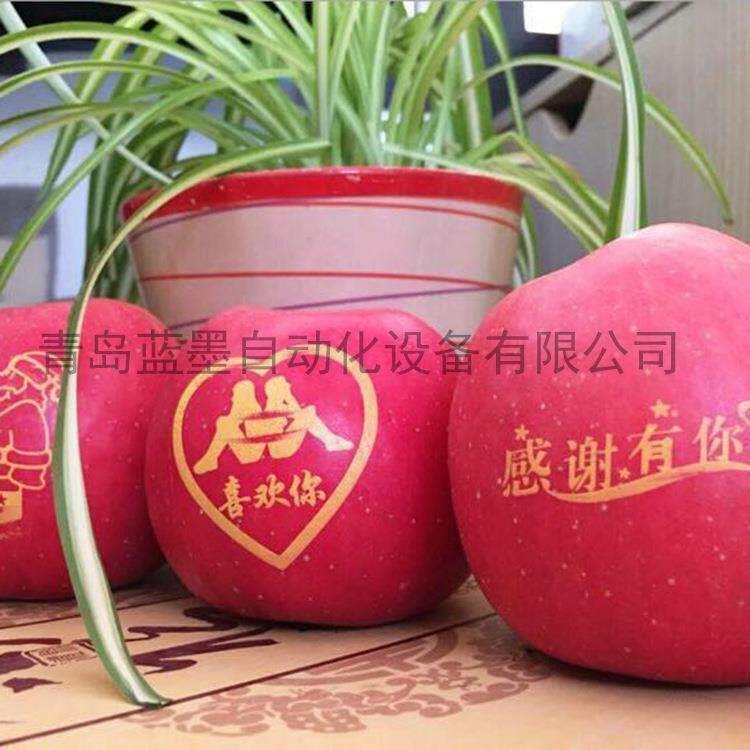 苹果印字机礼品水果印刷设备