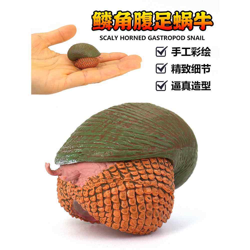 仿真远古海洋生物鹦鹉螺三叶虫模型鳞角腹足蜗牛玩具塑胶科教育