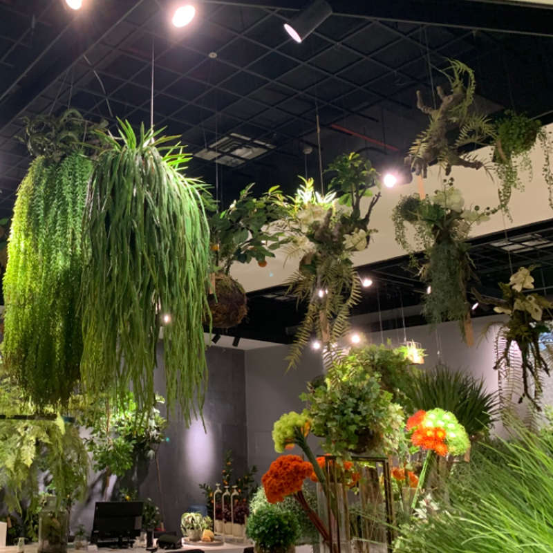 绿色植物天花吊顶垂吊悬挂装饰酒吧清吧音乐餐厅吊挂橱窗民宿搭配