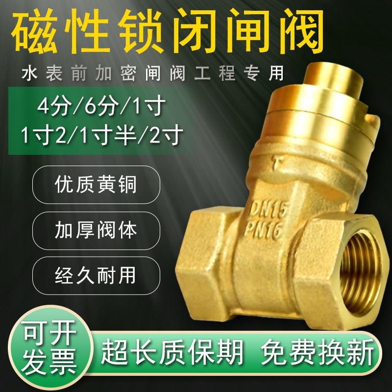 亚广加密阀水表前阀门带钥匙的带锁闸阀自来水防盗锁闭阀磁性开关