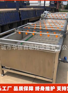 LRF自动连续式气泡翻全用清浪清洗机 蘑菇木耳洗机 食菌清洗流水