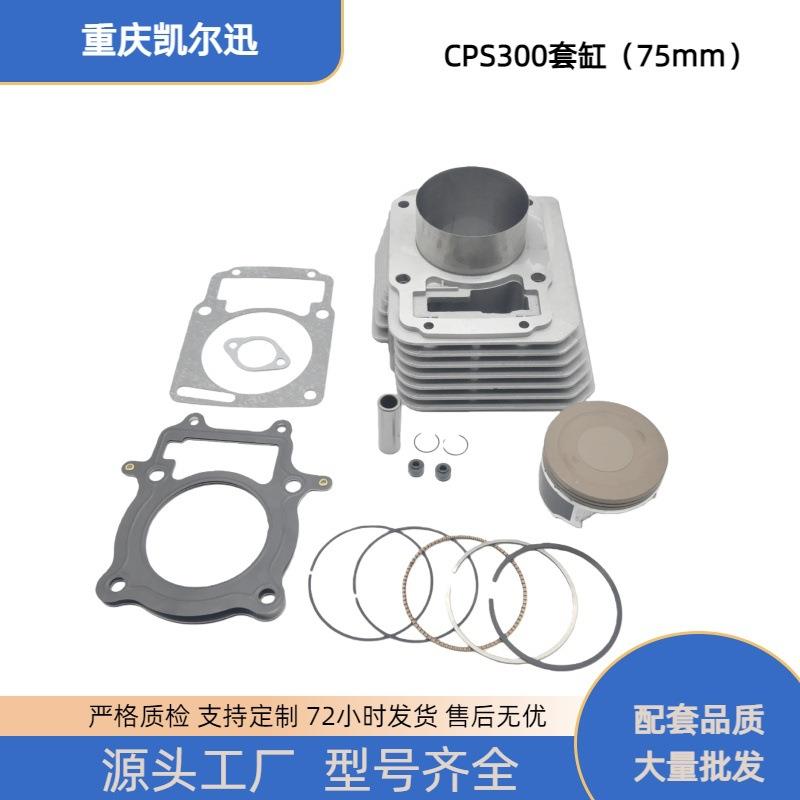 摩托车发动机套缸75mm适用CPS300 Italika Vortx250 RW172FMM气缸