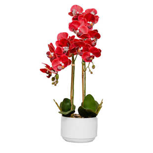 蝴蝶兰盆栽仿真花pu精品紫色兰花带盆客厅盆景摆件成品带花发货