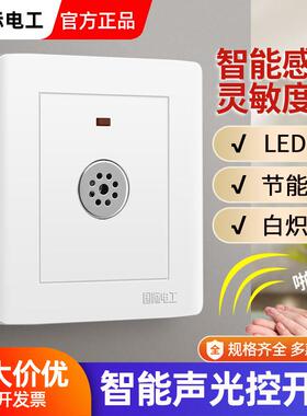 86型暗装二线 线声光控楼道感应延时白炽节能LED灯220V声控开 关
