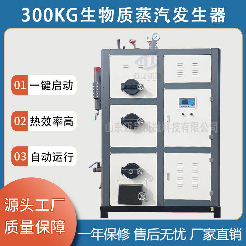 0.3T豆制品用蒸汽机食品加工