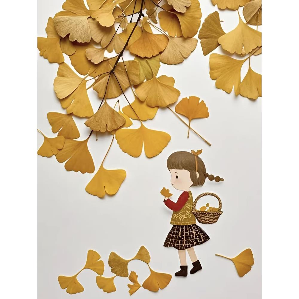 银杏叶干花真花手工黄叶学校作业银杏树叶铺地造景拍摄辅助道具