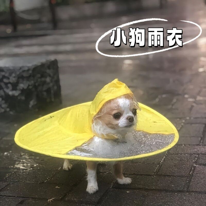 狗雨衣中型犬拉布拉多萨摩耶防雨服泳衣游泳防风冲浪雨衣服法斗