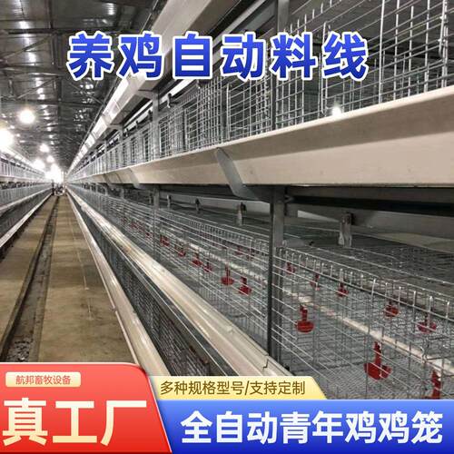 青年鸡养殖设备全自动框架养鸡笼鸡舍养鸡场层叠式钢丝四层鸽笼