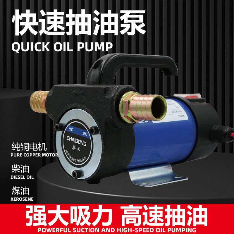 厂家批发小型电动手提式柴油抽油泵12v24v铁铸电动抽油泵