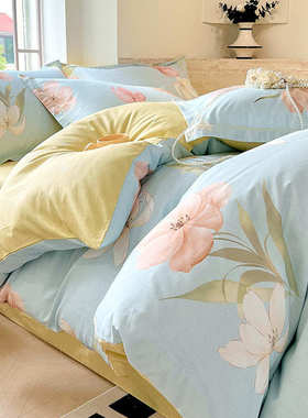 春夏新款全棉13372加厚印花四件套宽边一字绣床上用品套件