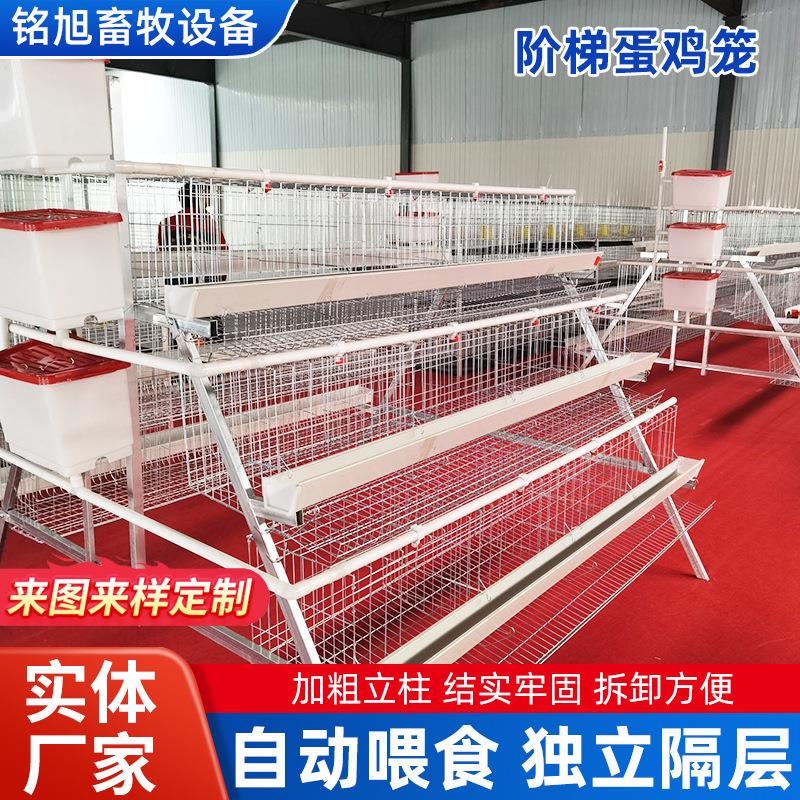 四层阶梯式热镀锌蛋鸡笼新型层叠自动化养鸡设备多层养殖笼规格全图片